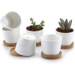 6. 5cm pot de succulent en céramique blanc avec plateau en bambou lot de 6, cactus plante planteur cache ... 6. 5cm pot de succulent en céramique blanc avec plateau en bambou lot de 6, cactus plante planteur cache ...