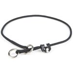 65 cm x 0, 35 cm collier: collier de dressage julius k9 avec fermeture de s�curit� pour chiens