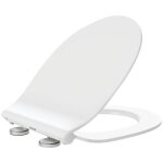 Dubourgel - abattant � frein de chute fusion extra plat blanc - bemis