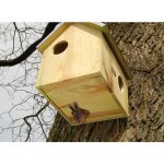 Abri pour cureuils esschert design