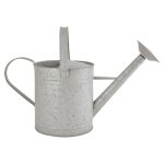 Grand arrosoir zinc patin 6. 5 l