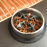 Accessoire anti glouton chiens et chats, pour gamelle / bol jusqu'� 13, 5cm de diam�tre, anti stress, ...