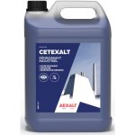 Aexalt - d�graissant industriel bidon 5l i505
