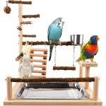 Aire de jeux pour perroquets (45x37x26 cm) avec mangeoire et plateau, support d'activit�