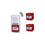 Alarme type 4 radio avec 2 dclencheurs pour erp