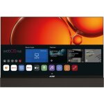 Alden t�l�viseur 22  smart webos tv barre de son int�gr�e