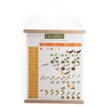 Kakemono calendrier potager 24x50 cm - amadeus