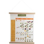 Kakemono calendrier potager 24x50 cm - amadeus