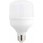Ampoule led e27 t80 ? 24w ? 2700lm ? 6000k ? blanc du jour ? optonica