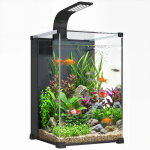 Aquarium - pawhut - 36l, nano aquarium avec filtre int�gr�, pompe 5w et �clairage led - verre tremp� ...