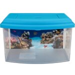 Aquarium de transport - aim - 22 x 16 x 14, 5 cm