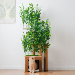 Arbre � chat 158 cm ? 3 plates - formes, trous, feuilles amovibles ? mdf imperm�able ? vert