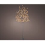 Arbre ext�rieur illumin� avec 480 lumi�res led chaudes
