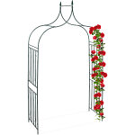 Relaxdays - arcade de rosiers en m�tal, arche pour plantes grimpantes, pointes, h x l x p: 270 x 144 ...