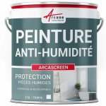 Arcane industries - peinture anti humidit pour mur humide en pltre, bton, placo, cave et sous - sol, ...