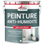 Arcane industries - peinture anti humidit pour mur humide en pltre, bton, placo, cave et sous - sol, ...