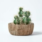 Arrangement mini cactus artificiels 'echinocactus' en pot effet bois 15 cm - homescapes