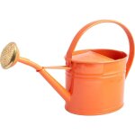 Arrosoir en acier galvanis� avec pomme 1. 75 litres