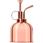 Arrosoir en m�tal de 300 ml, arrosoir en laiton de style vintage, arroseur pour plantes d'int�rieur et ...