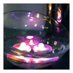 Lot de 10 lampions led submersibles rose arum lighting