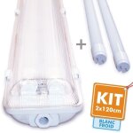 Arum lighting - kit 2 tubes led 120cm 6000k + boitier �tanche