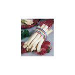 Asperge super argenteuil - 10 griffes