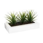 Centre de table aloe vera 'plant' 31cm blanc
