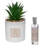 Coffret senteur cactus16x19cm atmosphera crateur d'intrieur
