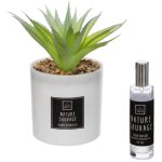 Coffret senteur cactus16x19cm atmosphera crateur d'intrieur