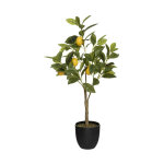 Plante artificielle  citronnier  73cm multicolore