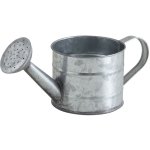 Petit arrosoir déco 75cl en zinc Petit arrosoir déco 75cl en zinc
