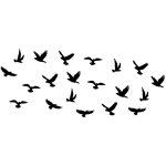 Autocollants de fen�tre anti - collision, autocollants de fen�tre en forme d'oiseau, 20 pi�ces, noirs ...