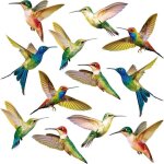 Autocollant de fen�tre de colibri d�calques de vitre anti - collision pour emp�cher dimpact d'oiseau ...