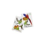 Autocollant de fentre doiseau gardigo stickers native birds type de fonctions effet dissuasif 1 pc(s) ...