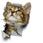 Autocollant mural en forme de chat mignon 3d pour d�coration de salle de bain ou abattant de toilettes ...