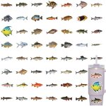 Autocollants de poissons de mer, autocollants de poissons dr�les - 110x autocollants de p�che cadeaux ...