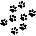 Autocollants en vinyle motif pattes de chat / chien