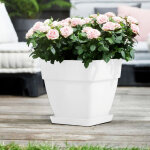 Bac  fleurs rond ou carr jardinire blanc en plastique pour extrieur jardin terrasse pot de fleurs ...