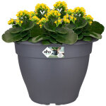 Bac  fleurs rond jardinire anthracite en plastique pour extrieur jardin terrasse pot de fleurs 17 ...