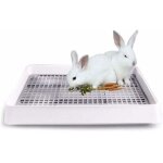 Bac � liti�re surdimensionn� pour lapin et chat ? dimensions 38, 3 x 30, 9 x 6, 5 cm ? plastique pp durable ...