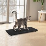 Balance numrique pour animaux de compagnie 10 g avec chelle lectronique gradue balance pour chiens ...