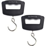 Balance � poisson num�rique 2 pi�ces : balance �lectronique suspendue avec poign�e et crochet, p�se - ...