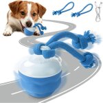 Balle interactive chiens, balle pour chien - intelligent rechargeable, jouet pour chien interactif avec ...