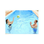 Ballon de volley ball