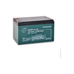 Nx - batterie lead crystal 6 - cnfj - 12 12v 12ah m5 - f