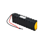 Nx - 20x aa 20s1p st2 24v 700mah fc automa ( prix pour 1 )