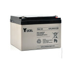 Batterie plomb agm y24 - 12i 12v 24ah m5 - f - yucel Batterie plomb agm y24 - 12i 12v 24ah m5 - f - yucel