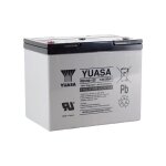 Batterie plomb yuasa 12v 80ah rec80 - 12i
