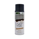 Bombe de peinture radiateur gris fonte
