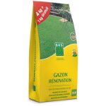Bhs - gazon rnovation marque sac de 5 kgs dont 1 gratuit , 250m